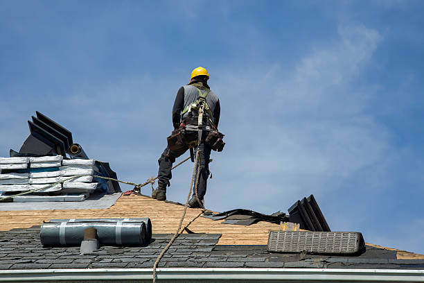 Professional Metal Roofing technician working in Placida, FL